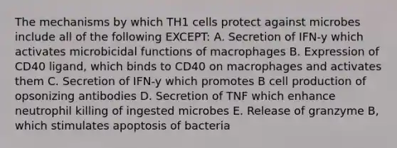 The mechanisms by which TH1 cells protect against microbes include all of the following EXCEPT: A. Secretion of IFN‐y which activates microbicidal functions of macrophages B. Expression of CD40 ligand, which binds to CD40 on macrophages and activates them C. Secretion of IFN‐y which promotes B cell production of opsonizing antibodies D. Secretion of TNF which enhance neutrophil killing of ingested microbes E. Release of granzyme B, which stimulates apoptosis of bacteria