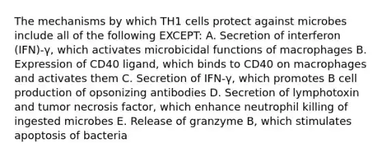 The mechanisms by which TH1 cells protect against microbes include all of the following EXCEPT: A. Secretion of interferon (IFN)-γ, which activates microbicidal functions of macrophages B. Expression of CD40 ligand, which binds to CD40 on macrophages and activates them C. Secretion of IFN-γ, which promotes B cell production of opsonizing antibodies D. Secretion of lymphotoxin and tumor necrosis factor, which enhance neutrophil killing of ingested microbes E. Release of granzyme B, which stimulates apoptosis of bacteria