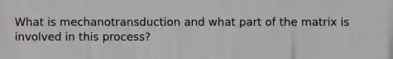 What is mechanotransduction and what part of the matrix is involved in this process?