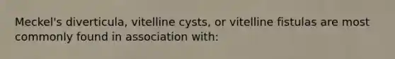 Meckel's diverticula, vitelline cysts, or vitelline fistulas are most commonly found in association with: