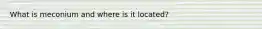 What is meconium and where is it located?