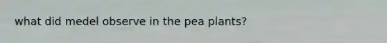 what did medel observe in the pea plants?