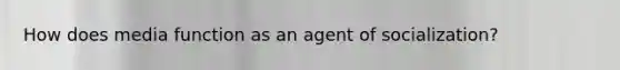 How does media function as an agent of socialization?