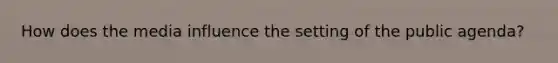How does the media influence the setting of the public agenda?