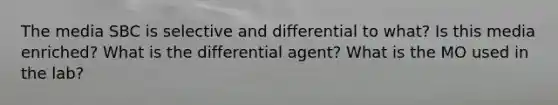 The media SBC is selective and differential to what? Is this media enriched? What is the differential agent? What is the MO used in the lab?