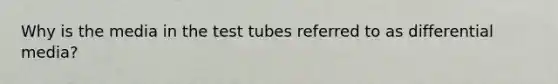 Why is the media in the test tubes referred to as differential media?