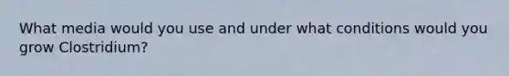 What media would you use and under what conditions would you grow Clostridium?
