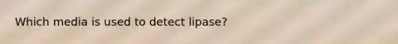 Which media is used to detect lipase?