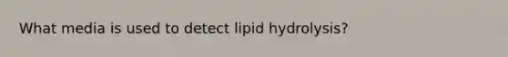 What media is used to detect lipid hydrolysis?