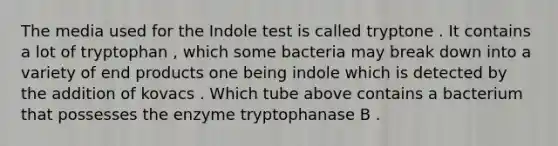 The media used for the Indole test is called tryptone . It contains a lot of tryptophan , which some bacteria may break down into a variety of end products one being indole which is detected by the addition of kovacs . Which tube above contains a bacterium that possesses the enzyme tryptophanase B .