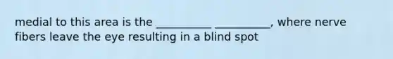 medial to this area is the __________ __________, where nerve fibers leave the eye resulting in a blind spot