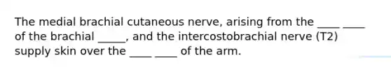 The medial brachial cutaneous nerve, arising from the ____ ____ of the brachial _____, and the intercostobrachial nerve (T2) supply skin over the ____ ____ of the arm.