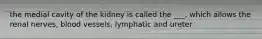 the medial cavity of the kidney is called the ___, which allows the renal nerves, blood vessels, lymphatic and ureter