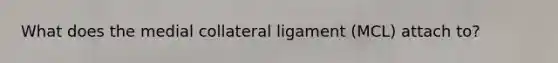 What does the medial collateral ligament (MCL) attach to?