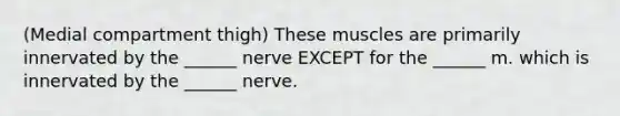 (Medial compartment thigh) These muscles are primarily innervated by the ______ nerve EXCEPT for the ______ m. which is innervated by the ______ nerve.