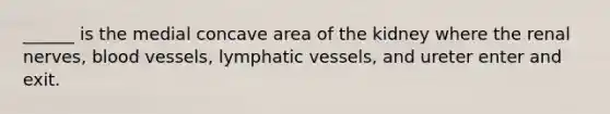 ______ is the medial concave area of the kidney where the renal nerves, blood vessels, lymphatic vessels, and ureter enter and exit.