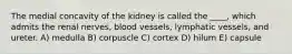 The medial concavity of the kidney is called the ____, which admits the renal nerves, blood vessels, lymphatic vessels, and ureter. A) medulla B) corpuscle C) cortex D) hilum E) capsule