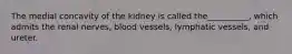 The medial concavity of the kidney is called the__________, which admits the renal nerves, blood vessels, lymphatic vessels, and ureter.