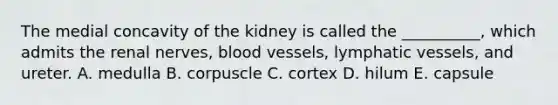 The medial concavity of the kidney is called the __________, which admits the renal nerves, blood vessels, lymphatic vessels, and ureter. A. medulla B. corpuscle C. cortex D. hilum E. capsule