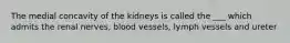 The medial concavity of the kidneys is called the ___ which admits the renal nerves, blood vessels, lymph vessels and ureter