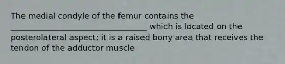 The medial condyle of the femur contains the __________________________________ which is located on the posterolateral aspect; it is a raised bony area that receives the tendon of the adductor muscle