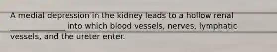 A medial depression in the kidney leads to a hollow renal ______________ into which <a href='https://www.questionai.com/knowledge/kZJ3mNKN7P-blood-vessels' class='anchor-knowledge'>blood vessels</a>, nerves, <a href='https://www.questionai.com/knowledge/ki6sUebkzn-lymphatic-vessels' class='anchor-knowledge'>lymphatic vessels</a>, and the ureter enter.