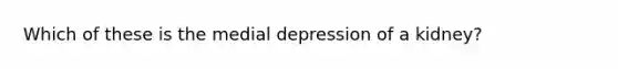 Which of these is the medial depression of a kidney?