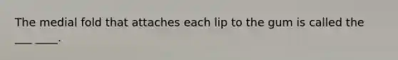 The medial fold that attaches each lip to the gum is called the ___ ____.