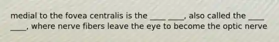 medial to the fovea centralis is the ____ ____, also called the ____ ____, where nerve fibers leave the eye to become the optic nerve