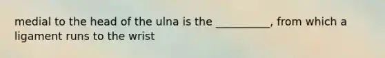 medial to the head of the ulna is the __________, from which a ligament runs to the wrist