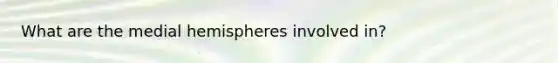 What are the medial hemispheres involved in?