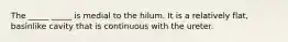 The _____ _____ is medial to the hilum. It is a relatively flat, basinlike cavity that is continuous with the ureter.