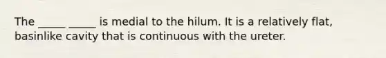 The _____ _____ is medial to the hilum. It is a relatively flat, basinlike cavity that is continuous with the ureter.