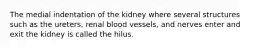 The medial indentation of the kidney where several structures such as the ureters, renal blood vessels, and nerves enter and exit the kidney is called the hilus.