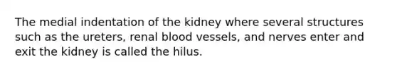 The medial indentation of the kidney where several structures such as the ureters, renal <a href='https://www.questionai.com/knowledge/kZJ3mNKN7P-blood-vessels' class='anchor-knowledge'>blood vessels</a>, and nerves enter and exit the kidney is called the hilus.