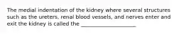 The medial indentation of the kidney where several structures such as the ureters, renal blood vessels, and nerves enter and exit the kidney is called the _____________________