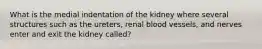 What is the medial indentation of the kidney where several structures such as the ureters, renal blood vessels, and nerves enter and exit the kidney called?