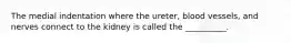 The medial indentation where the ureter, blood vessels, and nerves connect to the kidney is called the __________.
