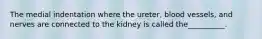 The medial indentation where the ureter, blood vessels, and nerves are connected to the kidney is called the__________.