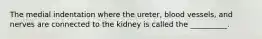 The medial indentation where the ureter, blood vessels, and nerves are connected to the kidney is called the __________.