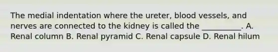 The medial indentation where the ureter, blood vessels, and nerves are connected to the kidney is called the __________. A. Renal column B. Renal pyramid C. Renal capsule D. Renal hilum