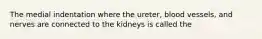 The medial indentation where the ureter, blood vessels, and nerves are connected to the kidneys is called the