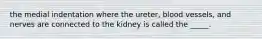 the medial indentation where the ureter, blood vessels, and nerves are connected to the kidney is called the _____.