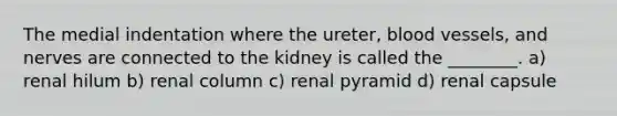 The medial indentation where the ureter, blood vessels, and nerves are connected to the kidney is called the ________. a) renal hilum b) renal column c) renal pyramid d) renal capsule