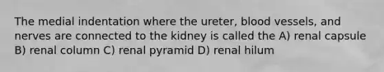 The medial indentation where the ureter, blood vessels, and nerves are connected to the kidney is called the A) renal capsule B) renal column C) renal pyramid D) renal hilum