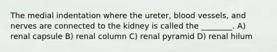 The medial indentation where the ureter, blood vessels, and nerves are connected to the kidney is called the ________. A) renal capsule B) renal column C) renal pyramid D) renal hilum