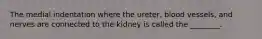 The medial indentation where the ureter, blood vessels, and nerves are connected to the kidney is called the ________.