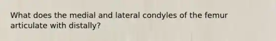 What does the medial and lateral condyles of the femur articulate with distally?