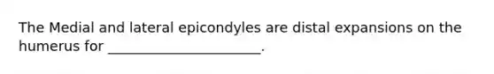 The Medial and lateral epicondyles are distal expansions on the humerus for ______________________.