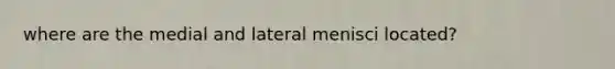 where are the medial and lateral menisci located?